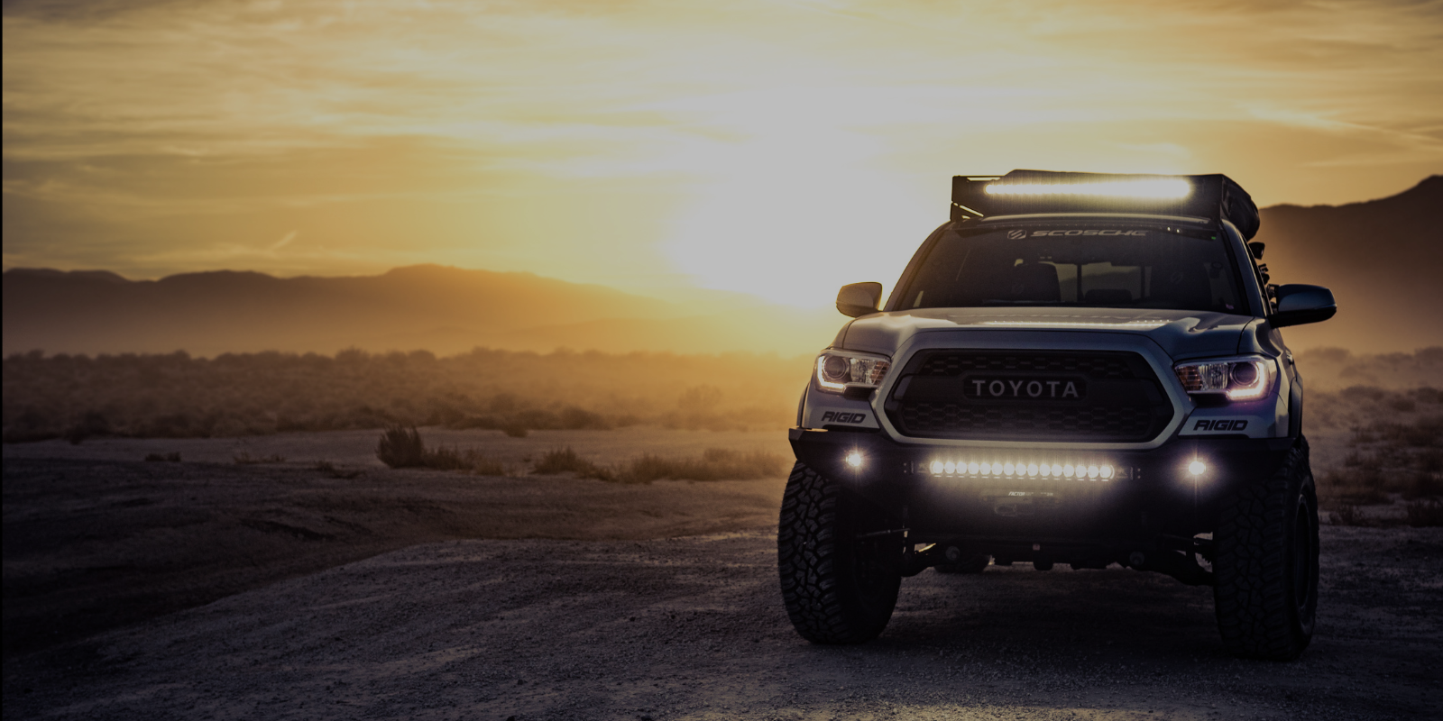 VIP Desert Safari in Dubai | Private Transport, Gourmet Dinner & Entertainment