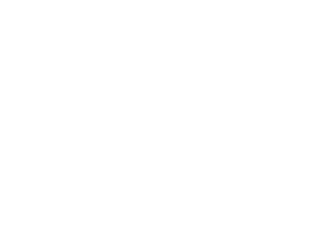 Partner logo Lara