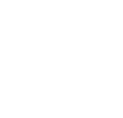 Partner logo Electrica