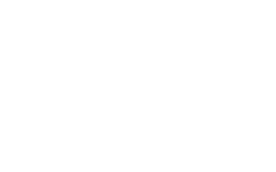Partner logo DP