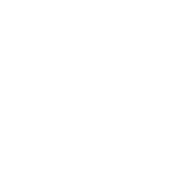Partner logo D